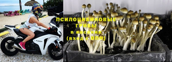 гашиш Баксан