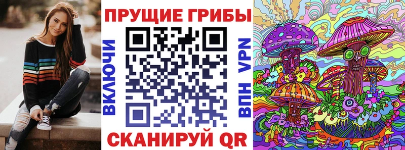 цены   Цимлянск  Псилоцибиновые грибы Psilocybe 